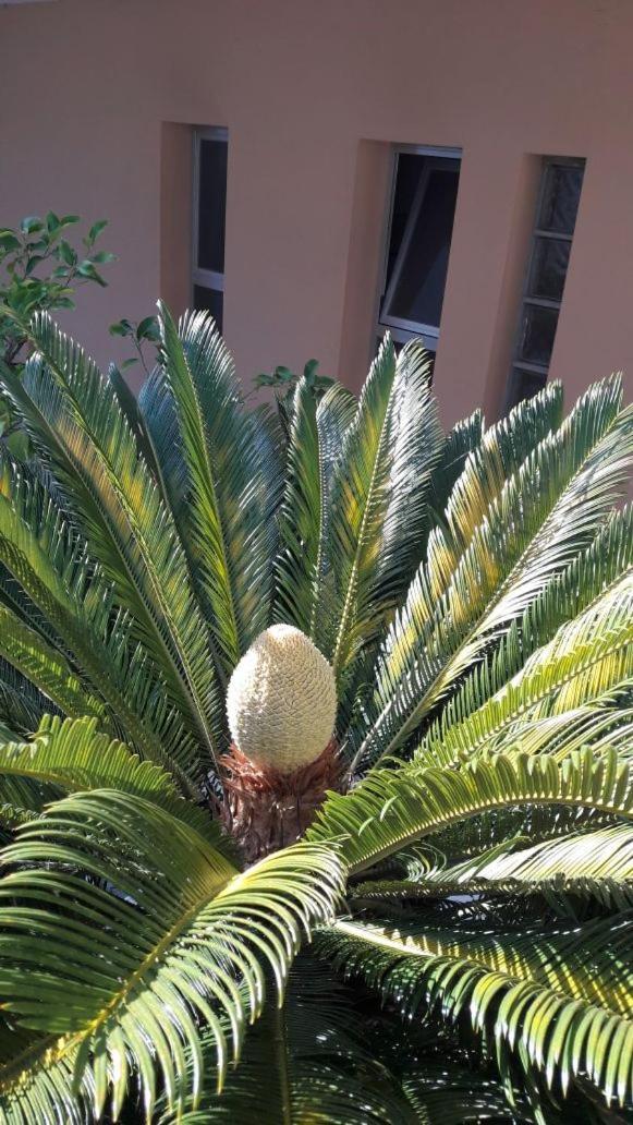 Albergo Larenzia Cattolica Exterior photo